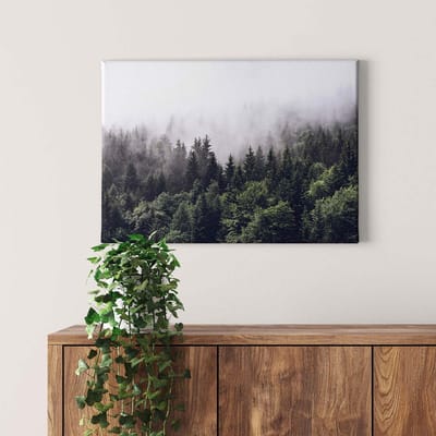 Canvas print DD123024 Foggy Forest A.S. Création 0,7 x 0,5 m Groen Kantoor Hal/Gang Keuken Slaapkamer Woonkamer