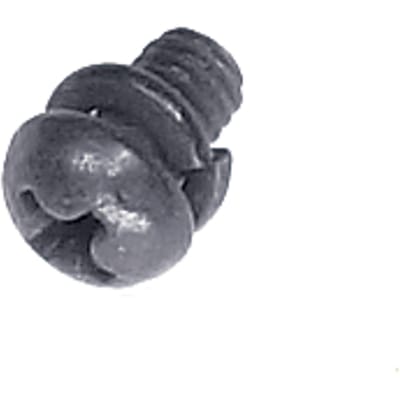 Screw