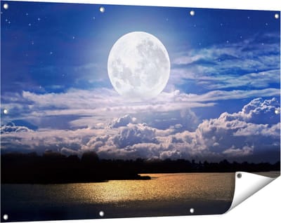 Gards Tuinposter Volle Maan bij het Water - 120x80 cm - Tuindoek - Tuindecoratie - Wanddecoratie buiten - Tuinschilderij