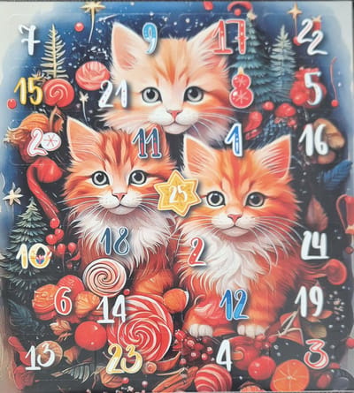 Kerst Adventskalender Voor Katten - Kattensnacks
