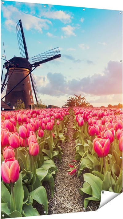 Gards Tuinposter Roze Tulpen Bloemenveld - met Windmolen - 120x180 cm - Tuindoek - Tuindecoratie - Wanddecoratie buiten - Tuinschilderij