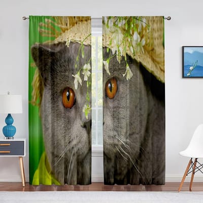 Kattenprint Kitten Kitty Gezicht Look Close-up Transparant Voile Gordijn voor Woonkamer Slaapkamer Decor Dier Raam Chiffon Tule Gordijnen 1 PCS W100XH250cm&Grommet Top