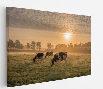 Saammp Canvas Schilderij - Groep koeien in de zonsondergang - Nederland - Dieren - 45x30 - Foto op canvas - Wanddecoratie - Muurdecoratie Woonkamer - Slaapkamer decoratie - Canvas Print
