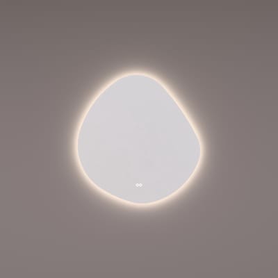 HIPP Design spiegel Organisch Rond 60 x 63 cm - met Indirecte LED. Spiegelverwarming. Kleurenwissel en Touch Dimmer