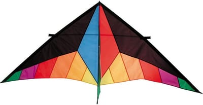 Delta Vlieger - Stuntvlieger - Buiten Spelen - Eenvoudige Montage - 2 Meter Breed - Spectrum Spin