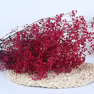 Natuurlijke Gypsophila Droge Bloemen voor Bruiloft en Thuisdecoratie