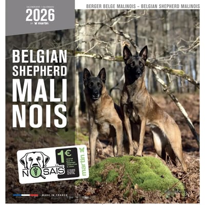 Kalender Martin Sellier Berger Belge Malinois