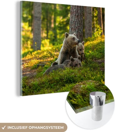 MuchoWow® Glasschilderij 50x50 cm - Schilderij acrylglas - Beer - Bruin - Bos - Foto op glas - Schilderijen