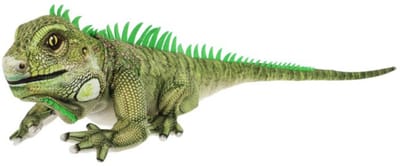 Keel Toys XL Leguaan - 65 cm - Dieren knuffelbeesten