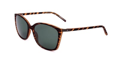 Rodenstock Sunglasses R3291 A 57