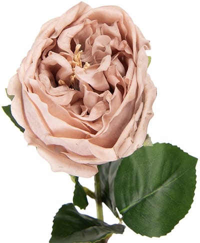 Clayre & Eef Kunstbloem Roos 43 cm Beige Kunststof
