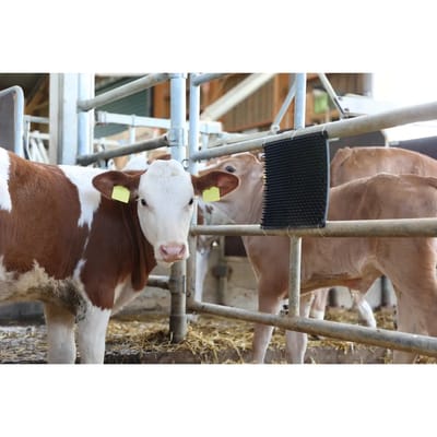 Excellent Borstelmat - Bevordert het dierenwelzijn en is een weldaad voor huid en haar - Geschikt voor paarden, kalveren en geiten - L40xB30cm - Zwart