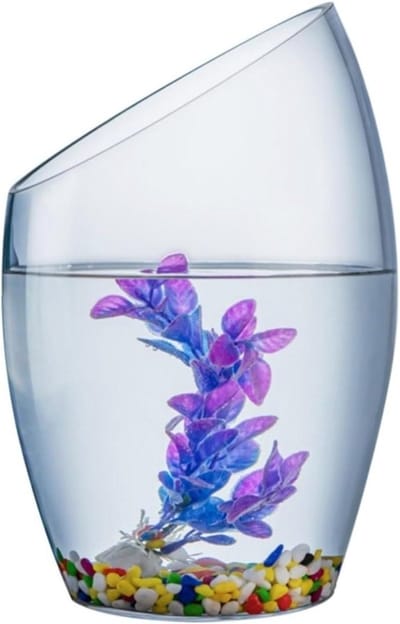 Klein aquarium - Vissenkom glas - Vis houden - Modieus ontwerp - 25x15 cm - Transparant