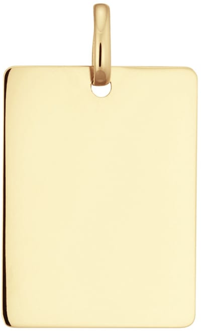 Glow 242.0046.20 Unisex Hanger - Sieraad - 14 Karaat Goud - 15 mm breed - 20 mm lang