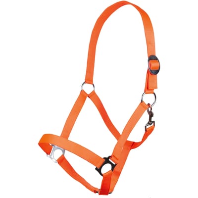 Halster voor paarden HKM Stars Economy