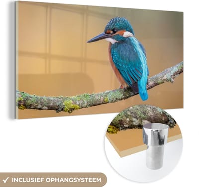 MuchoWow® Glasschilderij 40x20 cm - Schilderij acrylglas - Vogel - IJsvogel - Dieren - Tak - Foto op glas - Schilderijen