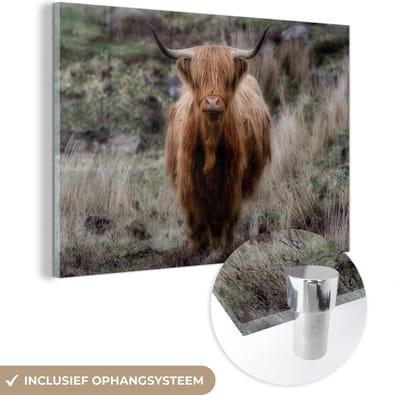 MuchoWow® Glasschilderij 150x100 cm - Schilderij acrylglas - Schotse Hooglander - Mos - Gras - Foto op glas - Schilderijen