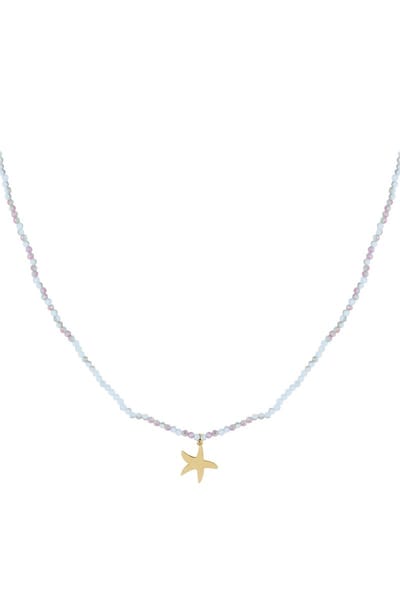 Ketting kleurrijke zeester