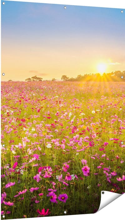 Gards Tuinposter Bloemenveld met Roze Kosmos - 100x150 cm - Tuindoek - Tuindecoratie - Wanddecoratie buiten - Tuinschilderij