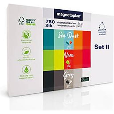 Magnetoplan-presentatiekaartenset 2, 750 stuks, bevat de kleurenseries Sea Dusk/Neon/Grey, rechthoekig, beschrijfbaar, B 200 x H 100 mm, gekleurd