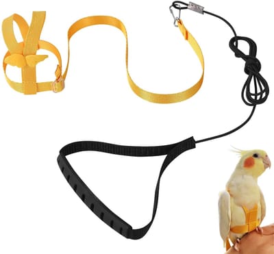 JHUBERS- Tuigje Papegaai - Verstelbaar - Antibijt - Lijn - Elastisch - Lichtgewicht - Comfortabel Nylon - Vogelharnas