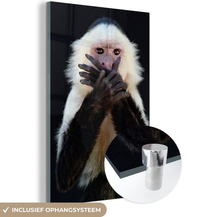 MuchoWow® Glasschilderij 100x150 cm - Schilderij acrylglas - Aap - Wilde dieren - Portret - Foto op glas - Schilderijen