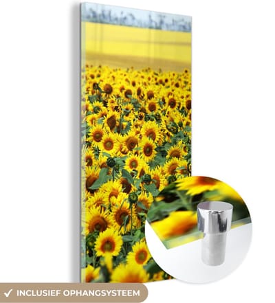 MuchoWow® Glasschilderij 20x40 cm - Schilderij acrylglas - Zonnebloem - Bloemen - Natuur - Foto op glas - Schilderijen