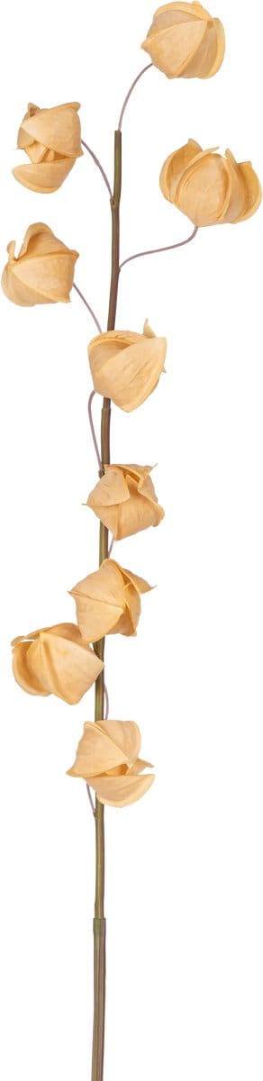 Easyplants | Kunstbloem Physalis Lampion 90 cm bruin | Zijde | Nepbloemen | bruin | Onderhoudsvrij | Kant-en-klaar
