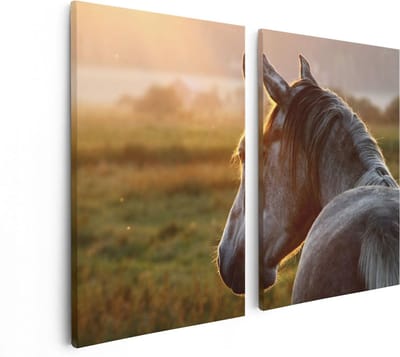 Artaza Canvas Schilderij Tweeluik Paard In De Weide Tijdens Zonsondergang - 80x60 - Foto Op Canvas - Canvas Print