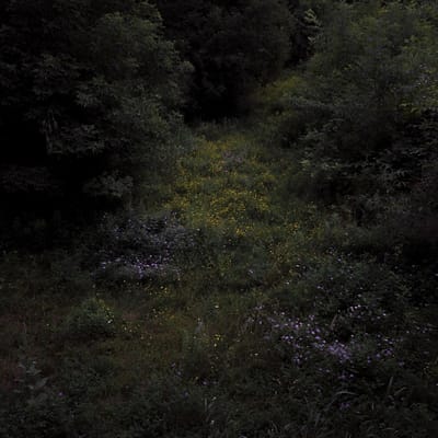 Fireworks - Higher Lonely Power (LP) (Coloured Vinyl) (Limited Edition)