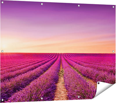 Gards Tuinposter Paarse Lavendel Bloemenveld - 120x90 cm - Tuindoek - Tuindecoratie - Wanddecoratie buiten - Tuinschilderij