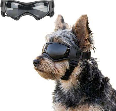 MAGICSHE Hondenbril Met Verstelbare Elastische Band - Zonnebril Hond Uv Voor Kleine En Middelgrote Honden Zwart XS
