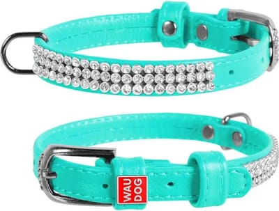 WAUDOG Glamour Halsband / Hondenhalsband - Echt Leder - Mint met Strass steentjes - XS - Breedte: 12 mm - Nekomtrek: 21 - 29 cm (GELIEVE ALVORENS BESTELLEN OPMETEN)