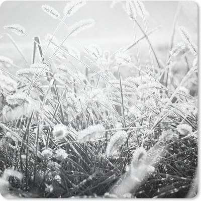 Muismat 20x20 cm - Mousepad Winter - Zwart - Wit - IJs - Muismatten - Kerst - Cadeau - Kerstcadeau voor mannen en voor vrouwen
