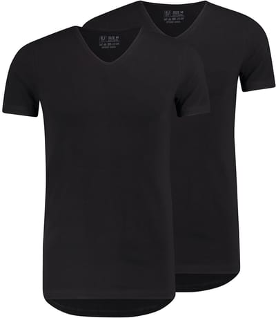RJ Everyday 2-Pack Den Bosch T-Shirt Regular V-Hals Zwart M