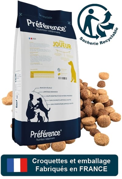 Préférence Joueur Hond 10Kg