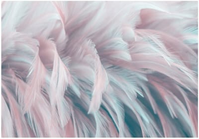 WALLARENA - Fotobehang - 400x280 cm - kleurrijke roze veren fototapet voor slaapkamer en woonkamer