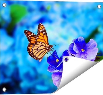 Gards Tuinposter Oranje Vlinder bij Paarse Bloemen - 50x40 cm - Tuindoek - Tuindecoratie - Wanddecoratie buiten - Tuinschilderij
