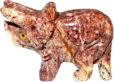 Aragoniet Ceratopsid Dinosaurus