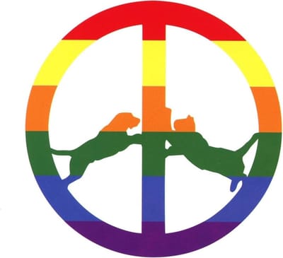 Hype Williams - Rainbow Edition (CD)