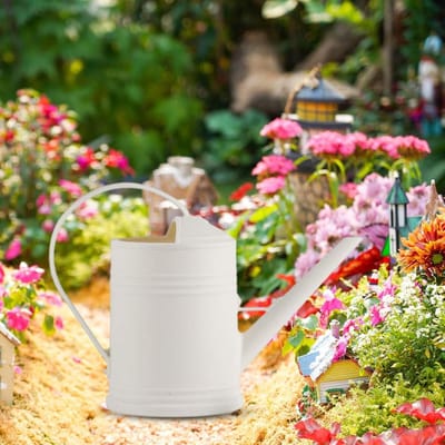Decoratieve Gieter - Waterkruik Planten - Binnen Buiten - Afneembare Spuitkop - 2 Liter Capaciteit - Wit