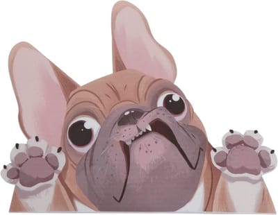 Dailygoods- Bulldog Sticker - Schattige Hond Auto Sticker - Vinyl Sticker - Waterdichte Sticker - Duurzaam PVC - Eenvoudig te Plakken - Dierensticker