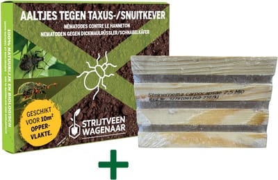 Strijtveen & Wagenaar Taxuskeverval + Aaltjes | Goed voor 10-15m2 | Complete Natuurlijke Aanpak | Tegen kevers én larven | Zonder gif | Eenvoudig in gebruik | Taxuskever bestrijden | Snuitkever bestrijden | Afweermiddelen