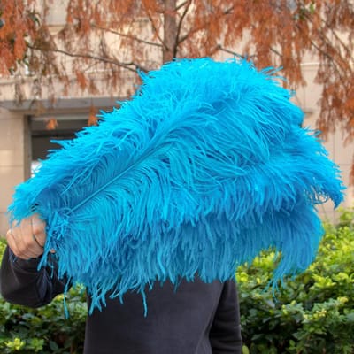 10 STUKS Rode Struisvogelveren Bulk 15-60CM Natuurlijke Veren Voor Knutselen Bruiloft Feest Tafeldecoraties Decoratie Carnaval Plumas 15-20CM 6-8INCH meer blauwe kleur