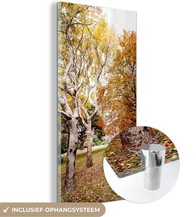 MuchoWow® Glasschilderij 20x40 cm - Schilderij acrylglas - Herfst - Bomen - Bladeren - natuur - Foto op glas - Schilderijen