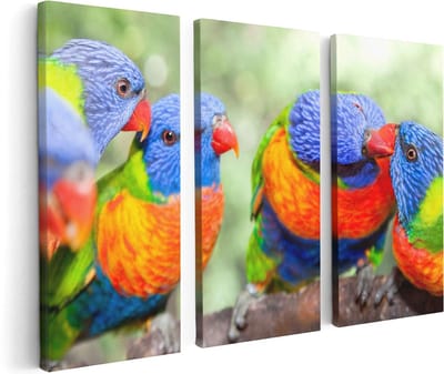 Artaza Canvas Schilderij Drieluik Vier Regenboog Lori Vogels Op Een Tak - 120x80 - Foto Op Canvas - Canvas Print
