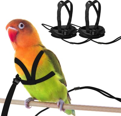 Dailygoods- Papegaai Harnas - Verstelbaar - Anti-bijt - Outdoor Training - Lichtgewicht - Duurzaam - Geschikt voor borstomvang 24-51 cm - Vogelharnas
