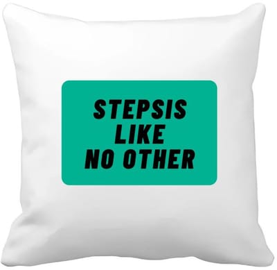 Akyol - stepsis like no other Kussen hoes - Zus - geweldige zus - niemand anders - verjaardag - cadeau - kado - bedankje - geschenk - 40 bij 40 cm