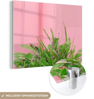 MuchoWow® Glasschilderij 40x30 cm - Schilderij acrylglas - Plant - Zomer - Roze - Foto op glas - Schilderijen