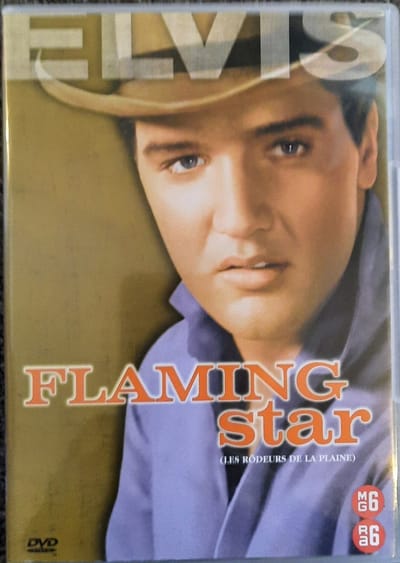 Flaming Star (1960)